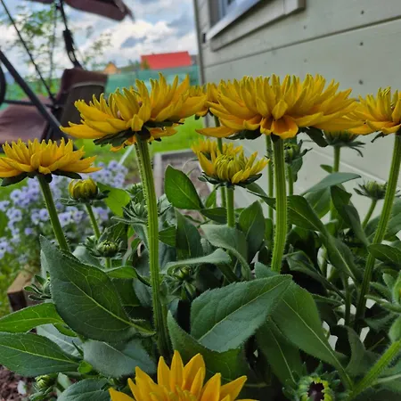 Oliwkowy Balia Z Jacuzzi Kaszuby Dom wakacyjny Niesiolowice